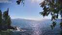 ./images/koeye/fitz-hugh/20260620/fitz-hugh20260620_171502M.jpg