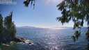 ./images/koeye/fitz-hugh/20260620/fitz-hugh20260620_172001M.jpg
