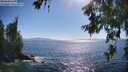 ./images/koeye/fitz-hugh/20260620/fitz-hugh20260620_172502M.jpg