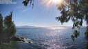 ./images/koeye/fitz-hugh/20260620/fitz-hugh20260620_173002M.jpg