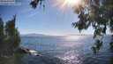 ./images/koeye/fitz-hugh/20260620/fitz-hugh20260620_173501M.jpg