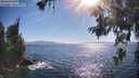 ./images/koeye/fitz-hugh/20260620/fitz-hugh20260620_174001M.jpg