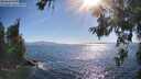 ./images/koeye/fitz-hugh/20260620/fitz-hugh20260620_174501M.jpg