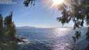 ./images/koeye/fitz-hugh/20260620/fitz-hugh20260620_175001M.jpg