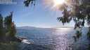 ./images/koeye/fitz-hugh/20260620/fitz-hugh20260620_175502M.jpg