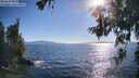 ./images/koeye/fitz-hugh/20260620/fitz-hugh20260620_182001M.jpg