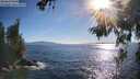 ./images/koeye/fitz-hugh/20260620/fitz-hugh20260620_183002M.jpg