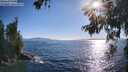 ./images/koeye/fitz-hugh/20260620/fitz-hugh20260620_183501M.jpg