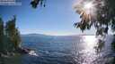 ./images/koeye/fitz-hugh/20260620/fitz-hugh20260620_184501M.jpg