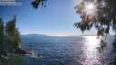 ./images/koeye/fitz-hugh/20260620/fitz-hugh20260620_185001M.jpg