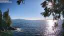 ./images/koeye/fitz-hugh/20260620/fitz-hugh20260620_185502M.jpg
