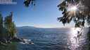 ./images/koeye/fitz-hugh/20260620/fitz-hugh20260620_191501M.jpg