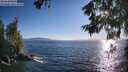 ./images/koeye/fitz-hugh/20260620/fitz-hugh20260620_192002M.jpg