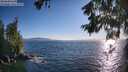 ./images/koeye/fitz-hugh/20260620/fitz-hugh20260620_192501M.jpg