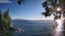 ./images/koeye/fitz-hugh/20260620/fitz-hugh20260620_195501M.jpg