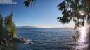 ./images/koeye/fitz-hugh/20260620/fitz-hugh20260620_200001M.jpg