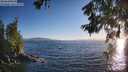 ./images/koeye/fitz-hugh/20260620/fitz-hugh20260620_201501M.jpg