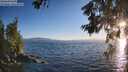./images/koeye/fitz-hugh/20260620/fitz-hugh20260620_202501M.jpg