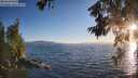 ./images/koeye/fitz-hugh/20260620/fitz-hugh20260620_203001M.jpg