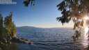 ./images/koeye/fitz-hugh/20260620/fitz-hugh20260620_203501M.jpg