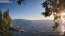 ./images/koeye/fitz-hugh/20260620/fitz-hugh20260620_204501M.jpg