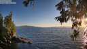 ./images/koeye/fitz-hugh/20260620/fitz-hugh20260620_205001M.jpg