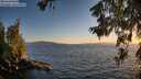 ./images/koeye/fitz-hugh/20260620/fitz-hugh20260620_211002M.jpg
