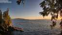 ./images/koeye/fitz-hugh/20260620/fitz-hugh20260620_212001M.jpg