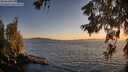 ./images/koeye/fitz-hugh/20260620/fitz-hugh20260620_212501M.jpg