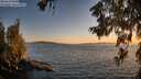 ./images/koeye/fitz-hugh/20260620/fitz-hugh20260620_213002M.jpg