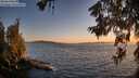 ./images/koeye/fitz-hugh/20260620/fitz-hugh20260620_213501M.jpg