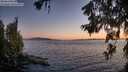 ./images/koeye/fitz-hugh/20260620/fitz-hugh20260620_215501M.jpg