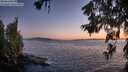 ./images/koeye/fitz-hugh/20260620/fitz-hugh20260620_220501M.jpg