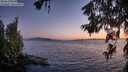./images/koeye/fitz-hugh/20260620/fitz-hugh20260620_221001M.jpg