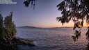 ./images/koeye/fitz-hugh/20260620/fitz-hugh20260620_222002M.jpg