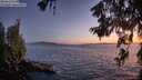 ./images/koeye/fitz-hugh/20260620/fitz-hugh20260620_222501M.jpg