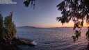 ./images/koeye/fitz-hugh/20260620/fitz-hugh20260620_223001M.jpg