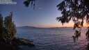 ./images/koeye/fitz-hugh/20260620/fitz-hugh20260620_223501M.jpg