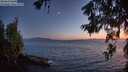 ./images/koeye/fitz-hugh/20260620/fitz-hugh20260620_224001M.jpg