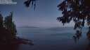./images/koeye/fitz-hugh/20260621/fitz-hugh20260621_042001M.jpg