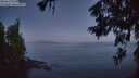 ./images/koeye/fitz-hugh/20260621/fitz-hugh20260621_042501M.jpg