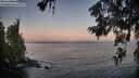 ./images/koeye/fitz-hugh/20260621/fitz-hugh20260621_052001M.jpg