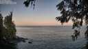 ./images/koeye/fitz-hugh/20260621/fitz-hugh20260621_052501M.jpg