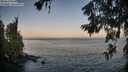 ./images/koeye/fitz-hugh/20260621/fitz-hugh20260621_053001M.jpg