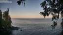 ./images/koeye/fitz-hugh/20260621/fitz-hugh20260621_053501M.jpg