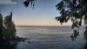 ./images/koeye/fitz-hugh/20260621/fitz-hugh20260621_054501M.jpg