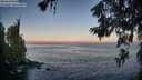 ./images/koeye/fitz-hugh/20260621/fitz-hugh20260621_055002M.jpg