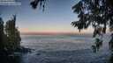 ./images/koeye/fitz-hugh/20260621/fitz-hugh20260621_055501M.jpg