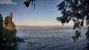 ./images/koeye/fitz-hugh/20260621/fitz-hugh20260621_060501M.jpg