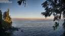 ./images/koeye/fitz-hugh/20260621/fitz-hugh20260621_061001M.jpg